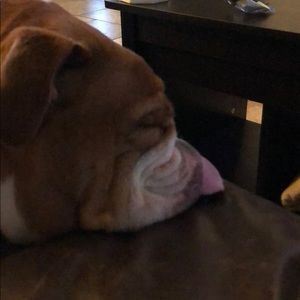 Meet your Posher, Clint